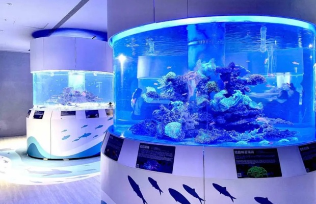 Thủy cung Chaojing Intelligent Oceanarium hiện đại