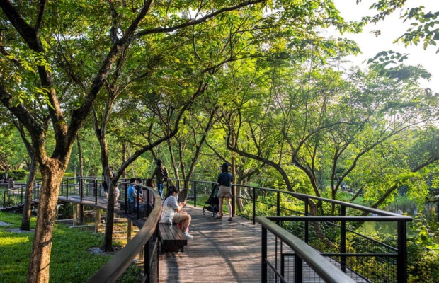 Những lối đi rợp b&oacute;ng c&acirc;y trong c&ocirc;ng vi&ecirc;n.