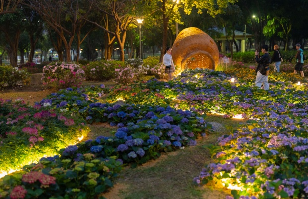Kh&ocirc;ng gian lễ hội hoa Azalea rực rỡ mỗi th&aacute;ng 3. 