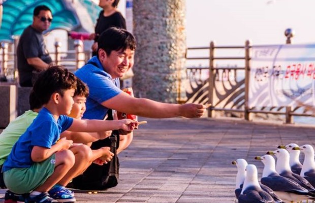 Dạo bộ v&agrave; check-in tại Phố văn h&oacute;a Wolmi