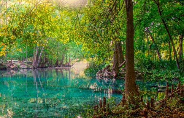 Everglades