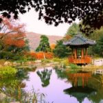 Garden of morning calm điểm đến lãng mạn nhất xứ Kim Chi