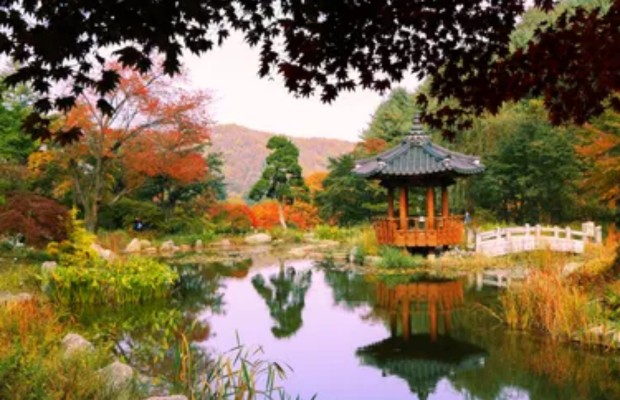 garden of morning calm​