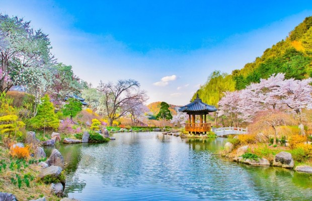 M&ugrave;a Xu&acirc;n: Lễ hội hoa xu&acirc;n rực rỡ