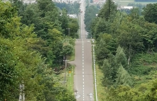 Road to Heaven & Green House