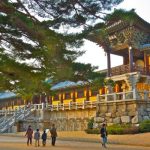 Khám phá Gyeongju Hàn Quốc cố đô nghìn năm lưu giữ di sản Silla