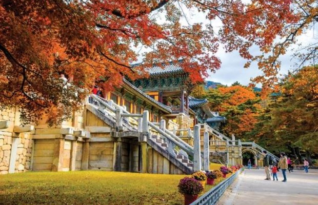 M&ugrave;a thu: Sắc l&aacute; v&agrave;ng l&aacute; đỏ tại c&aacute;c đền đ&agrave;i
