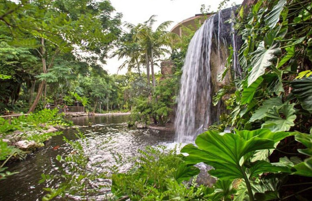 Jungle Island
