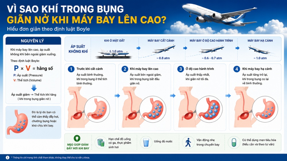 &Aacute;p suất cabin khiến bụng đầy hơi khi đi m&aacute;y bay

