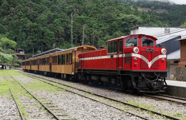 T&agrave;u rừng Alishan l&agrave; c&aacute;ch đến Fenqihu được nhiều du kh&aacute;ch y&ecirc;u th&iacute;ch. 