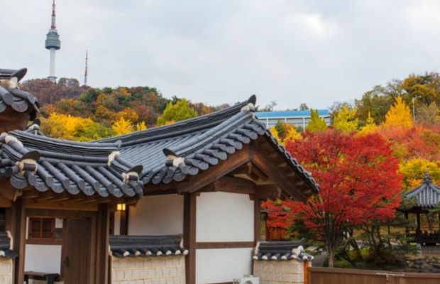  Du kh&aacute;ch tham quan l&agrave;ng Hanok Namsangol v&agrave;o m&ugrave;a thu l&aacute; đỏ
