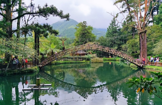 Kh&ocirc;ng gian xanh m&aacute;t tại rừng quốc gia Xitou.