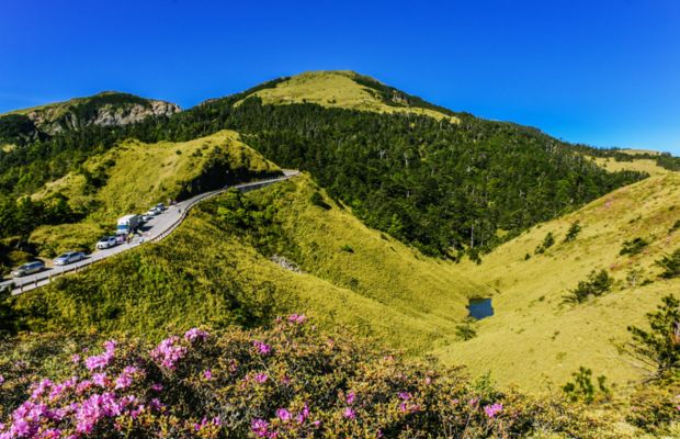 Hoa đỗ quy&ecirc;n nở rực tr&ecirc;n n&uacute;i Hợp Hoan m&ugrave;a xu&acirc;n
