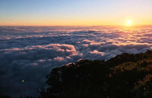 B&igrave;nh minh tr&ecirc;n đỉnh Đ&ocirc;ng &ndash; trải nghiệm nổi tiếng ở Hehuanshan