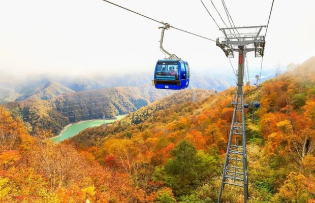Cabin c&aacute;p treo Seoraksan di chuyển tr&ecirc;n những ngọn n&uacute;i h&ugrave;ng vĩ