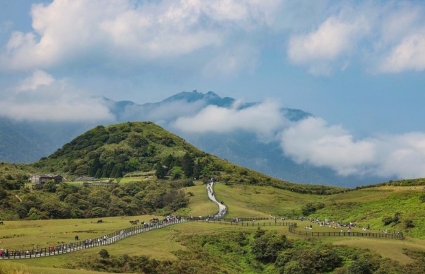 Qingtiangang Grassland – Đồng cỏ xanh giữa lòng Đài Bắc