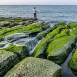 Rạn san hô Laomei Green Reef: Kỳ quan xanh biếc ở Đài Loan