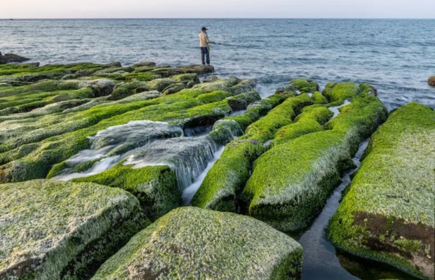 Rạn san hô Laomei Green Reef: Kỳ quan xanh biếc ở Đài Loan
