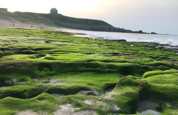M&ugrave;a xu&acirc;n l&agrave; thời điểm Laomei Green Reef đẹp nhất trong năm.