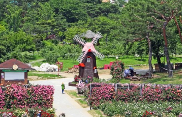Vườn B&aacute;ch Thảo & Theme Garden