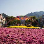 Cùng Vietnam Booking khám phá trọn vẹn vẻ đẹp Seoul Land