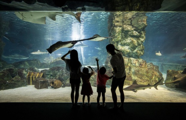 Thủy cung COEX (COEX Aquarium)