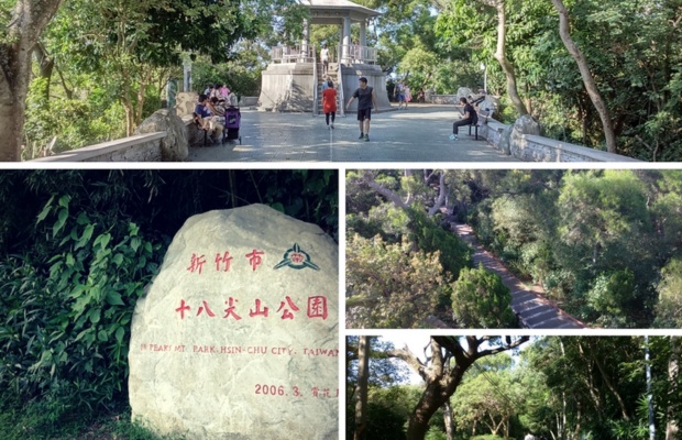 G&oacute;c xanh thư gi&atilde;n giữa l&ograve;ng th&agrave;nh phố.