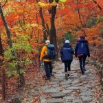 Vườn quốc gia Bukhansan: Cẩm nang trekking Seoul chi tiết 