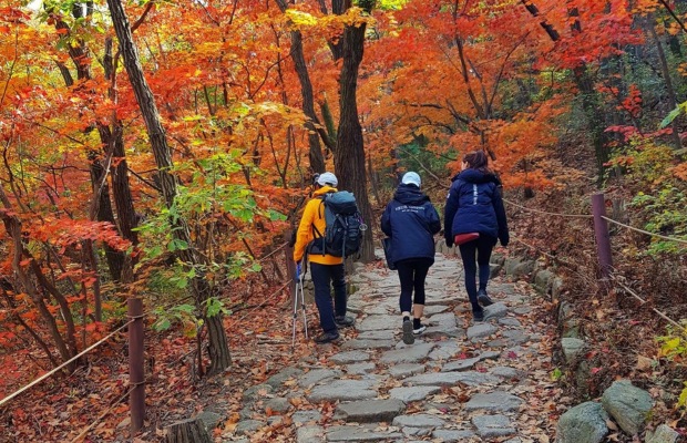 M&ugrave;a thu rực rỡ sắc m&agrave;u tr&ecirc;n c&aacute;c cung đường trekking n&uacute;i Bukhansan