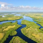 Vườn quốc gia Everglades: Trải nghiệm hệ sinh thái độc bản