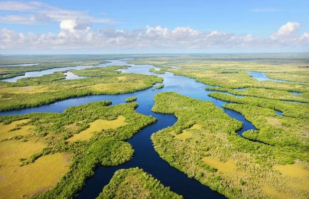 Vườn quốc gia Everglades