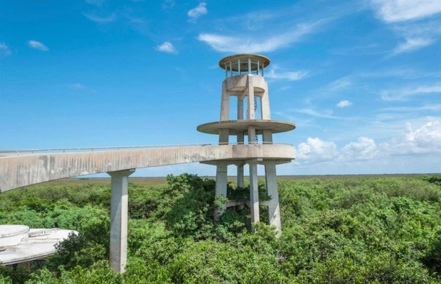 H&agrave;nh tr&igrave;nh kh&aacute;m ph&aacute; tr&aacute;i tim Everglades tại khu vực Shark Valley
