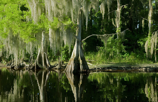B&iacute; k&iacute;p du lịch Everglades