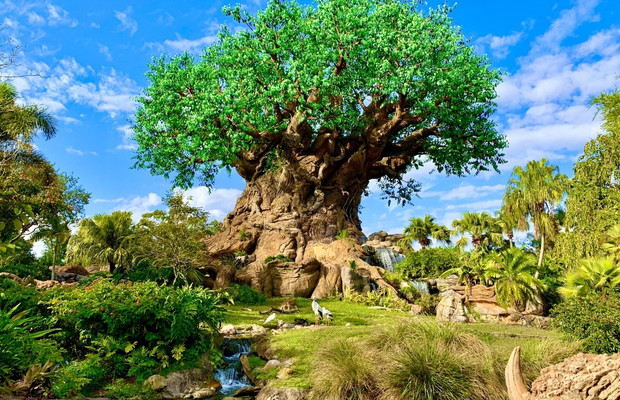 Disney's Animal Kingdom