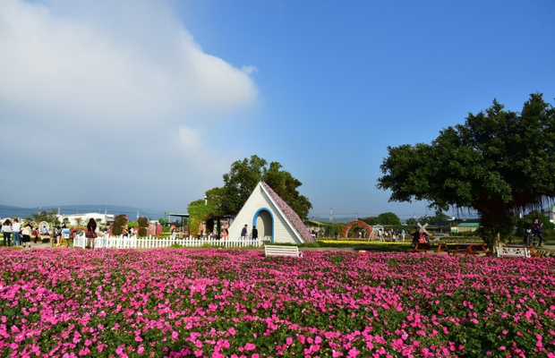 Kh&ocirc;ng gian đậm chất ch&acirc;u &Acirc;u tại Zhongshe Flower Market