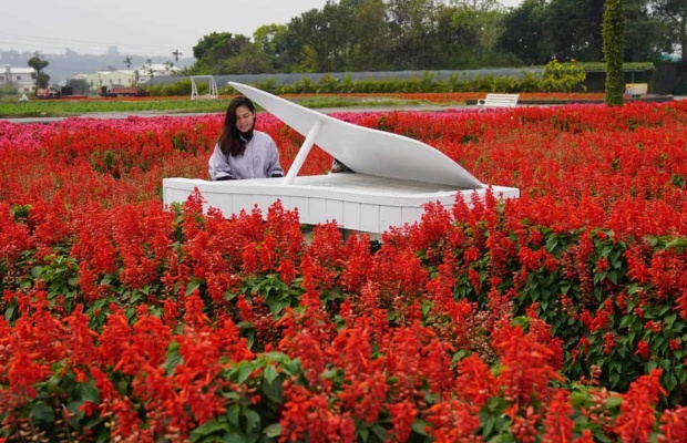 C&acirc;y đ&agrave;n piano trắng &ndash; g&oacute;c check-in biểu tượng của Zhongshe. 