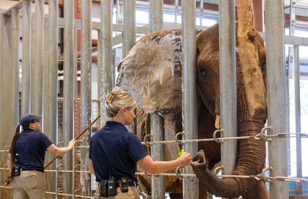 c&aacute;c hoạt động tương t&aacute;c Zoo Atlanta