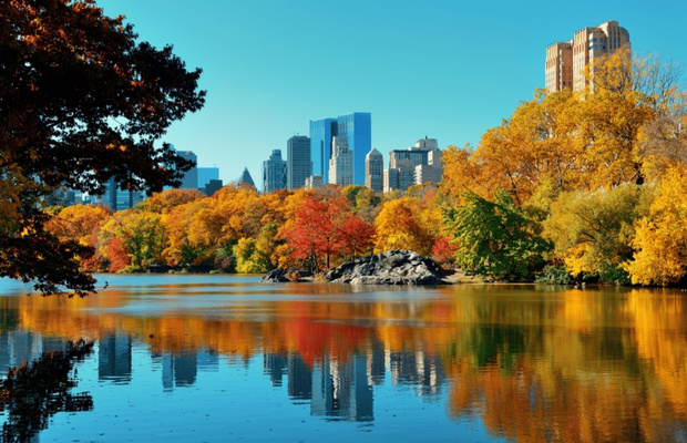 M&ugrave;a thu l&agrave; một trong những thời điểm đẹp nhất để kh&aacute;m ph&aacute; Chicago 