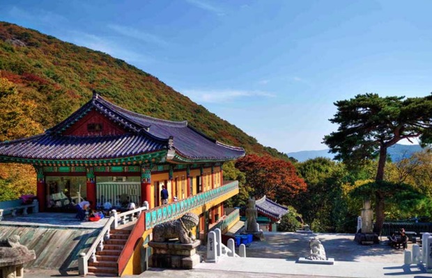Khung cảnh m&ugrave;a thu l&aacute; đỏ bao quanh ch&ugrave;a Beomeosa Busan cổ k&iacute;nh.