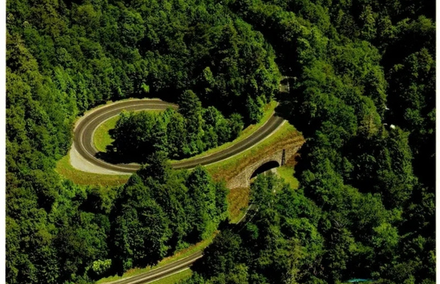 Cẩm nang đi Dollywood: C&aacute;ch di chuyển v&agrave; lộ tr&igrave;nh