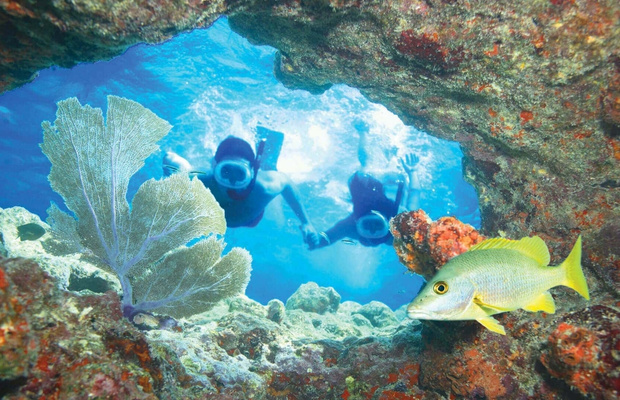 Trải nghiệm lặn biển v&agrave; ngắm san h&ocirc; tại Key West
