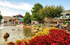 Du lịch Pigeon Forge: Khi đại ngàn Smoky vẫy gọi