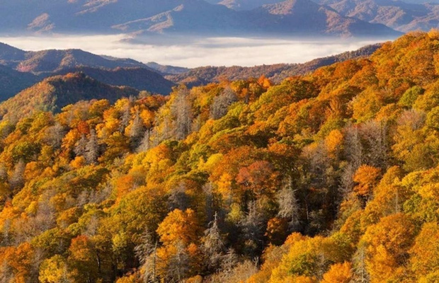 Great Smoky
