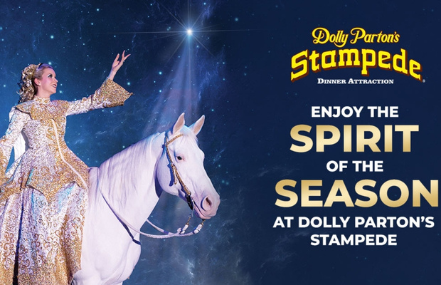 S&acirc;n khấu giải tr&iacute; & C&aacute;c đ&ecirc;m diễn dinner show