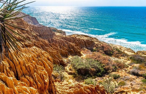 Những cung đường trekking s&aacute;t v&aacute;ch biển ngắm đại dương tại khu bảo tồn Torrey Pines