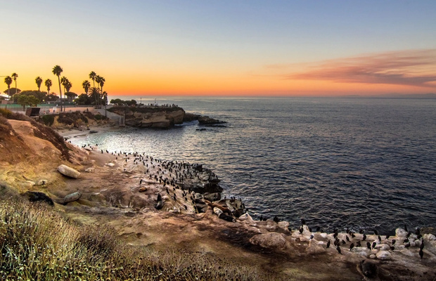 La Jolla Cove 