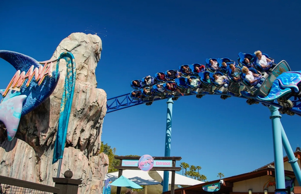 Du kh&aacute;ch trải nghiệm c&aacute;c hoạt động vui chơi tại SeaWorld San Diego