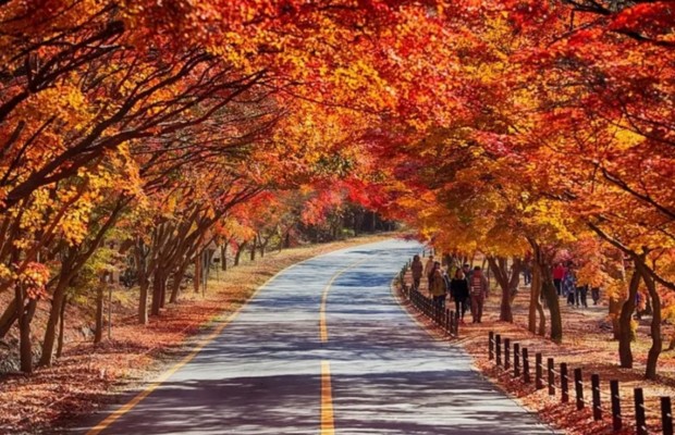 M&ugrave;a thu m&ugrave;a l&aacute; đỏ l&atilde;ng mạn nhất 