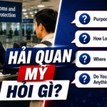 Những Câu Hỏi Khi Qua Hải Quan Mỹ và Cách Trả Lời Chuẩn Nhất 2026