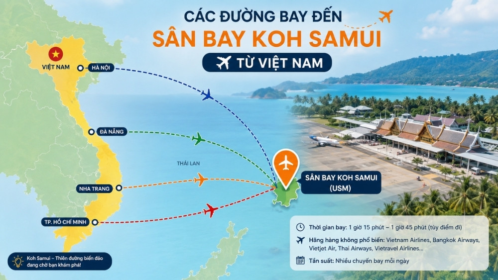 Th&ocirc;ng tin c&aacute;c chặng bay từ Việt Nam đến S&acirc;n bay quốc tế Koh Samui